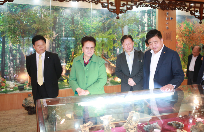 專(zhuān)題報(bào)道