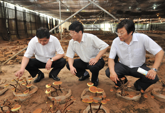 圖片關鍵詞 圖片關鍵詞