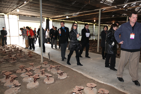 圖片關鍵詞 圖片關鍵詞