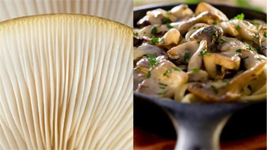 圖片關鍵詞 圖片關鍵詞