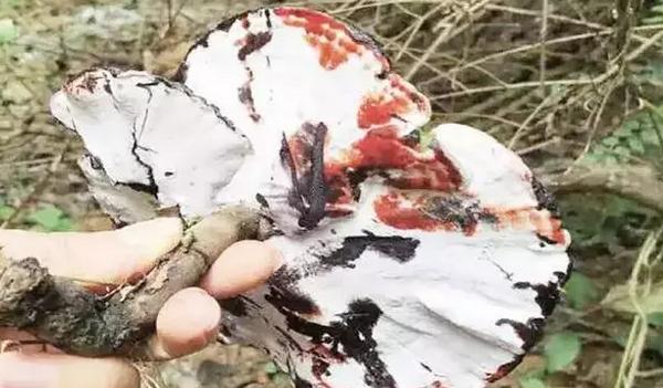 圖片關鍵詞 圖片關鍵詞