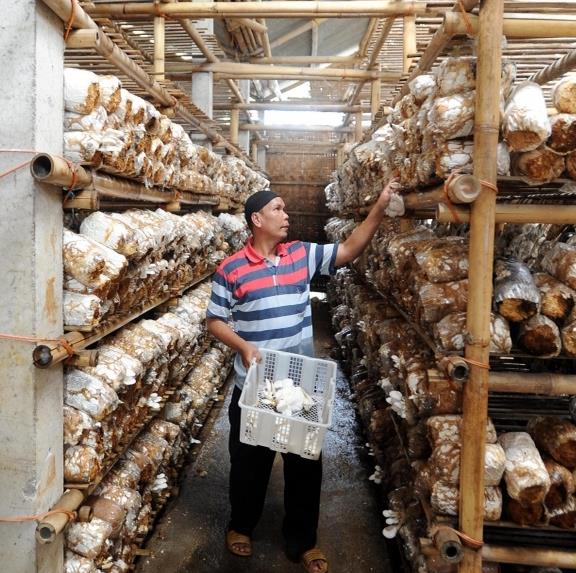 圖片關(guān)鍵詞 圖片關(guān)鍵詞