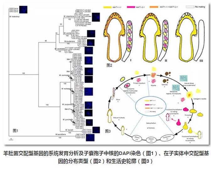 圖片關鍵詞 圖片關鍵詞