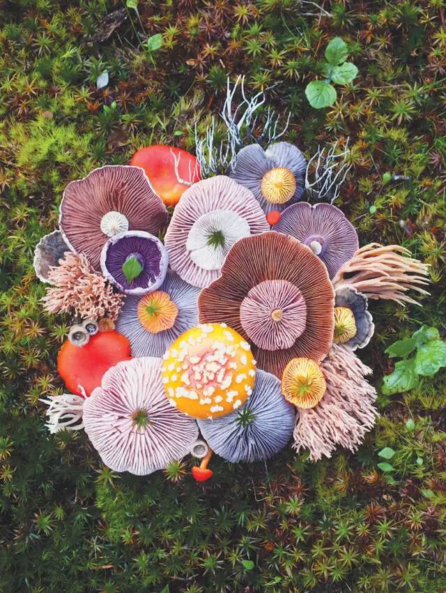 圖片關鍵詞 圖片關鍵詞