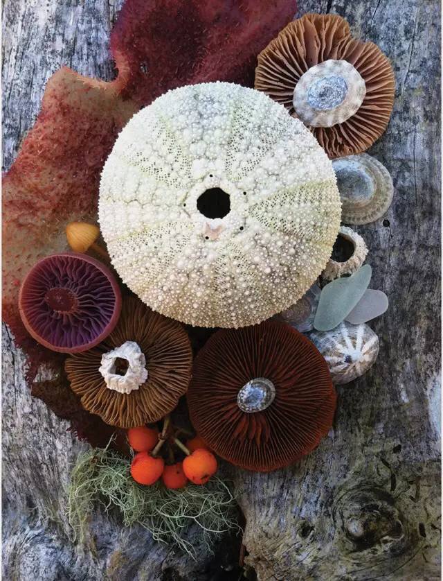 圖片關鍵詞 圖片關鍵詞