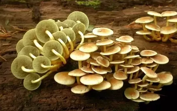 圖片關鍵詞 圖片關鍵詞