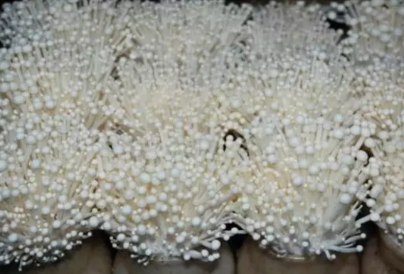 圖片關(guān)鍵詞 圖片關(guān)鍵詞