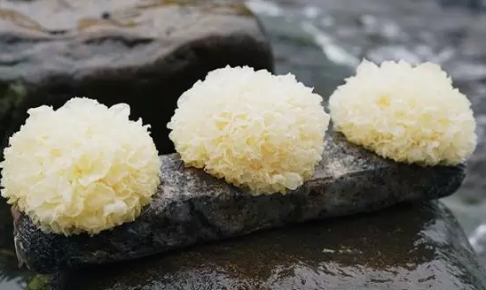 圖片關(guān)鍵詞 http://www.cdvi.com.cn/ewebeditor/uploadfile/20180328092751720001.png