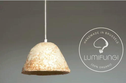 圖片關鍵詞 http://www.cdvi.com.cn/ewebeditor/uploadfile/20180727085601461001.png