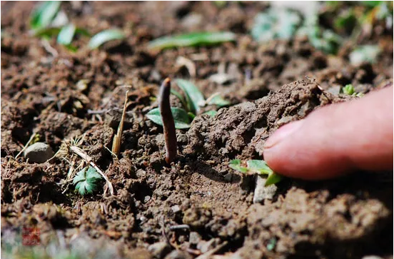 圖片關鍵詞 http://www.cdvi.com.cn/ewebeditor/uploadfile/20180921101313325001.png