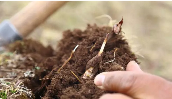 圖片關鍵詞 http://www.cdvi.com.cn/ewebeditor/uploadfile/20180921101228689001.png