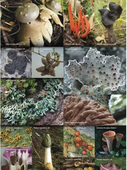 圖片關鍵詞 圖片關鍵詞