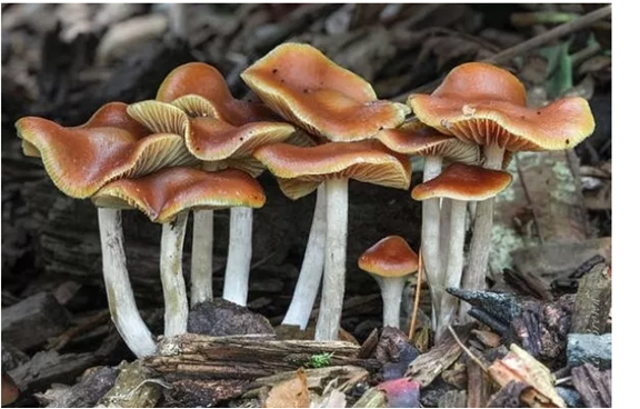 圖片關鍵詞 圖片關鍵詞