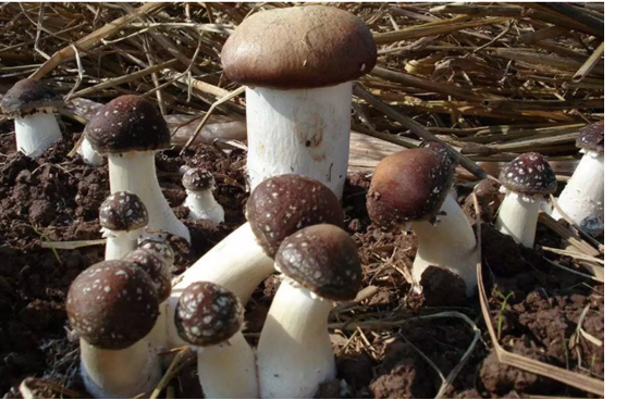 圖片關鍵詞 圖片關鍵詞