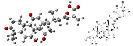 圖片關(guān)鍵詞 圖片關(guān)鍵詞