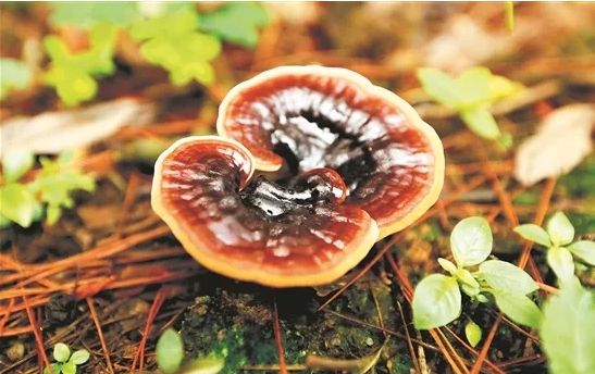 圖片關鍵詞 圖片關鍵詞