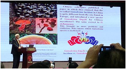 圖片關(guān)鍵詞 https://mmbiz.qpic.cn/sz_mmbiz_png/okVdCfcLZnMFofj0nZnDcibW3DFha1AWF8lEkGGTicdiafjxLMRJsuKv5Xjm8Xb87tGHplHl31l8TQ4TBBxSqO1MQ/640?wx_fmt=png