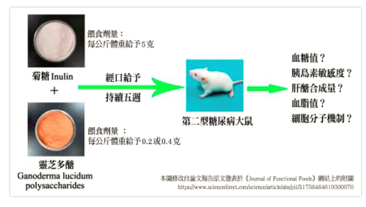 圖片關鍵詞 圖片關鍵詞
