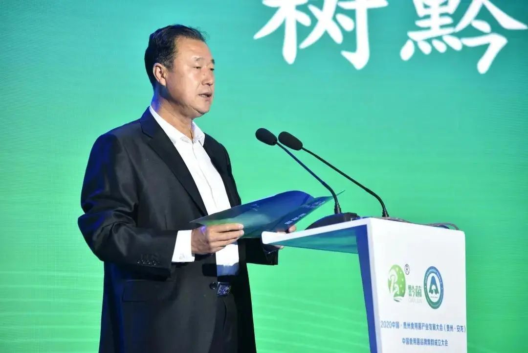 圖片關(guān)鍵詞 https://mmbiz.qpic.cn/mmbiz_jpg/tViaTicjwibVZmgEXXCALToc7mAB2rFo1LnE68kkeuayGX0icyDibQJ4wHCRyrCicUicAbmTu6orKibayX94E4pCa855nA/640?wx_fmt=jpeg