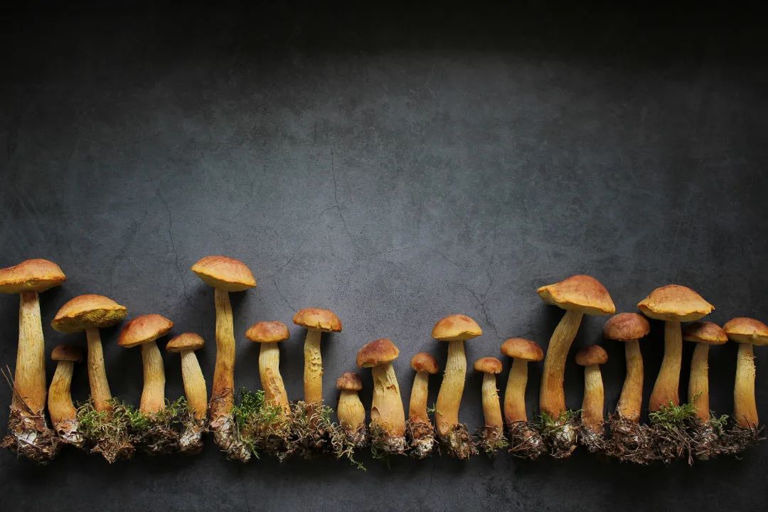 圖片關鍵詞 圖片