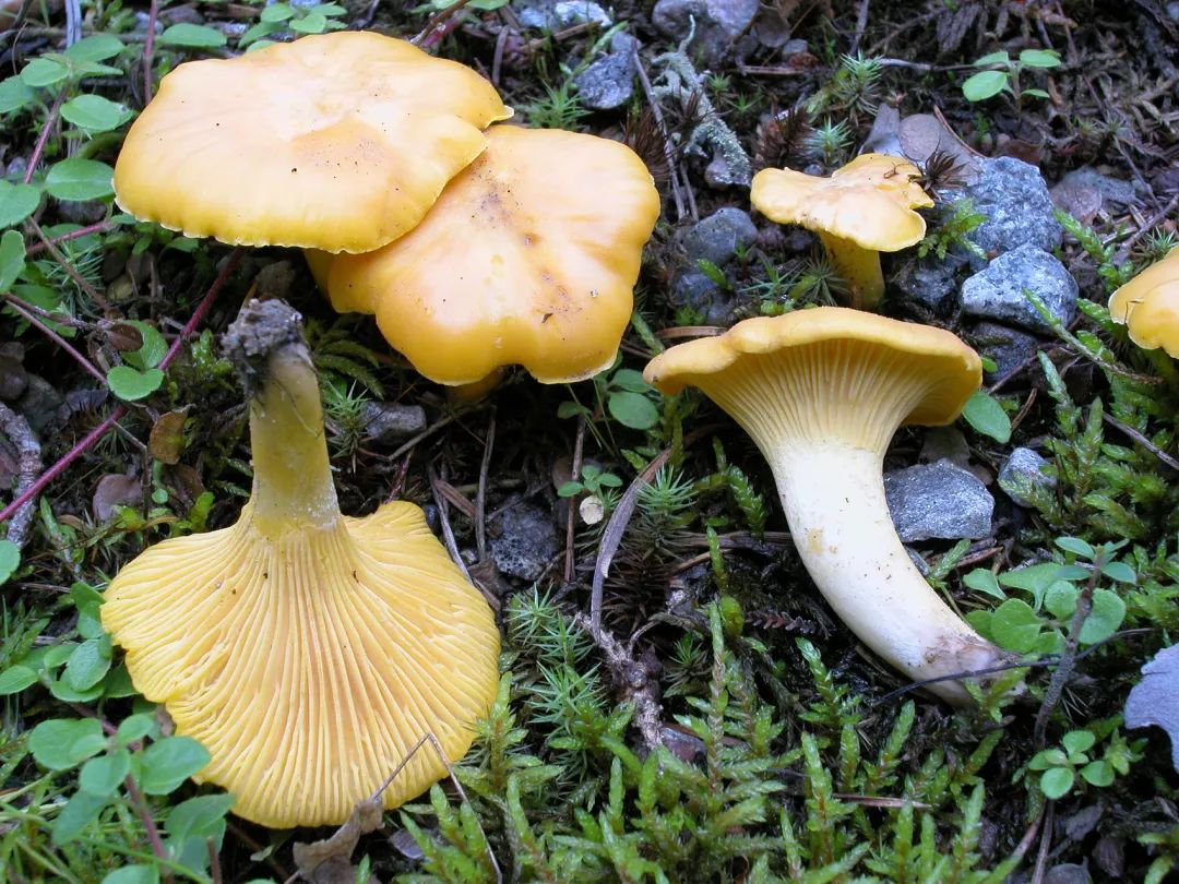 圖片關鍵詞 圖片