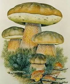 圖片關鍵詞 圖片