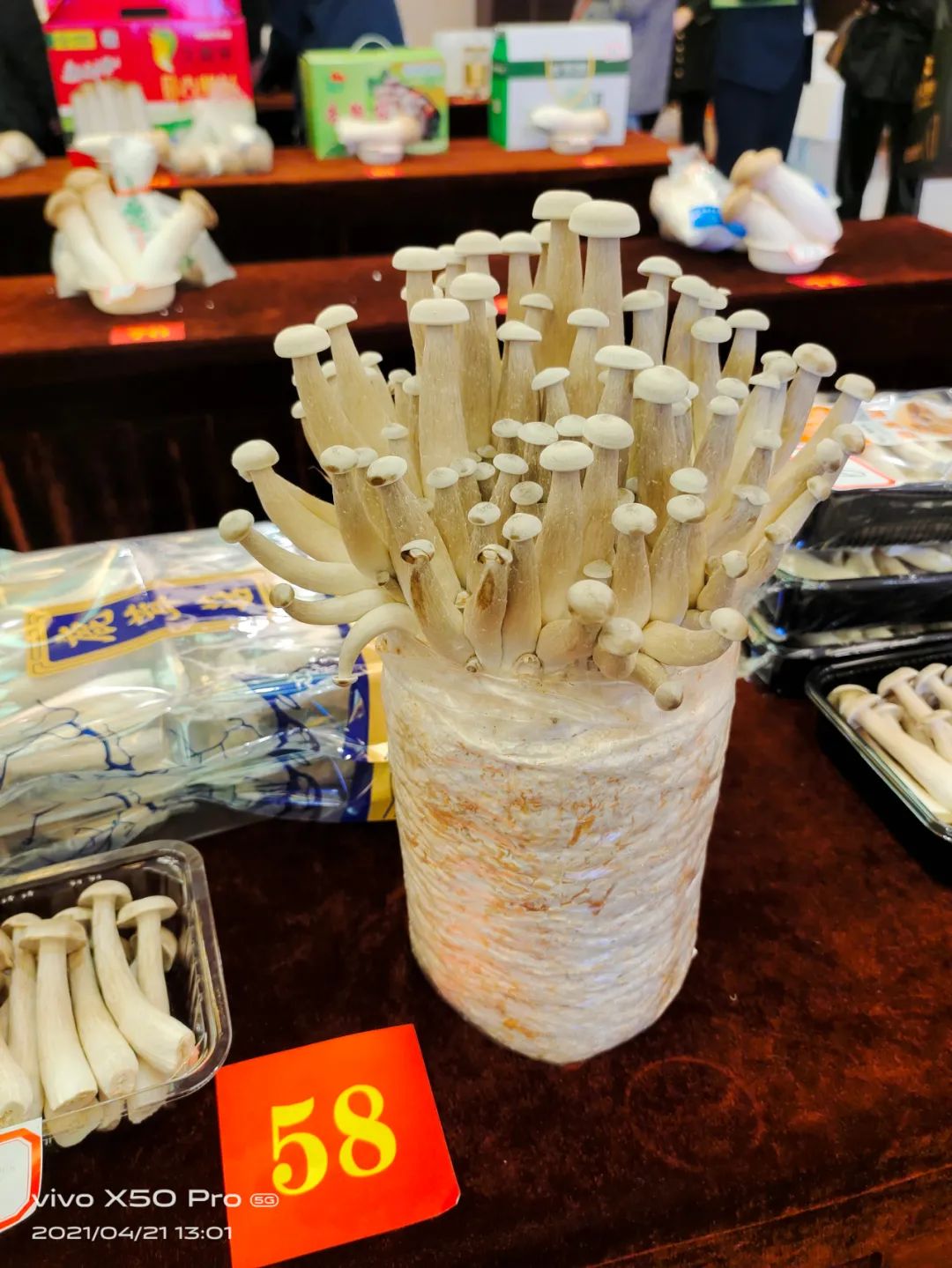 圖片關(guān)鍵詞 圖片