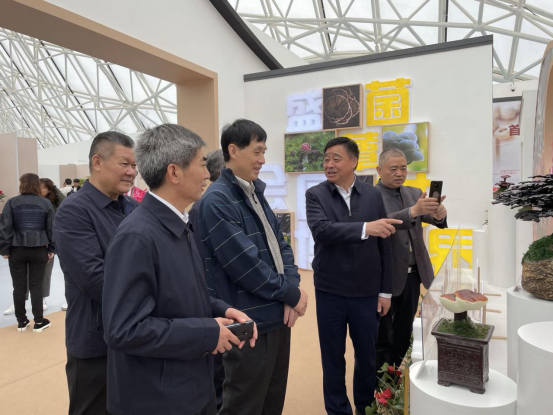 圖片關(guān)鍵詞 圖片