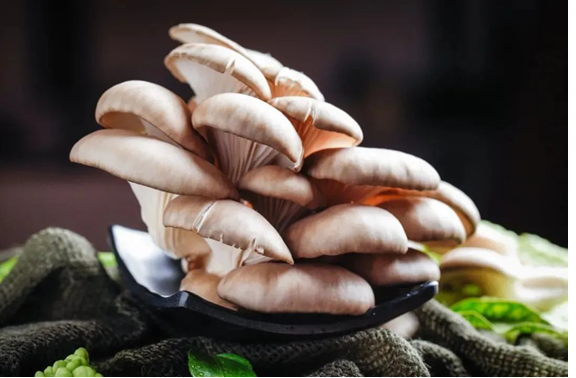 圖片關鍵詞 圖片關鍵詞