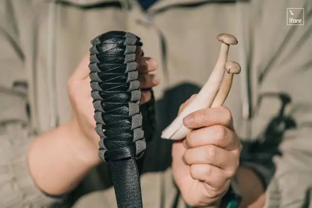 圖片關鍵詞 https://mmbiz.qpic.cn/mmbiz_jpg/qmUUOFzKOySS5yS0zAJrEWXW05M9z5vH5C4QuZfTn3PXF3y4iaf6UuqBZt0UhSZb159WlibbY5Z7d8nmiaMqjgPEQ/640?wx_fmt=jpeg