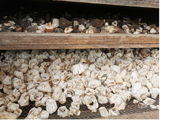 圖片關鍵詞 圖片關鍵詞