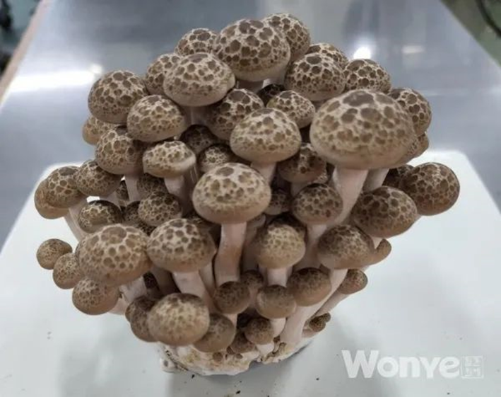 圖片關(guān)鍵詞 圖片關(guān)鍵詞