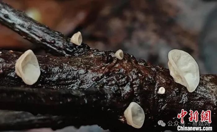 圖片關鍵詞 圖片關鍵詞