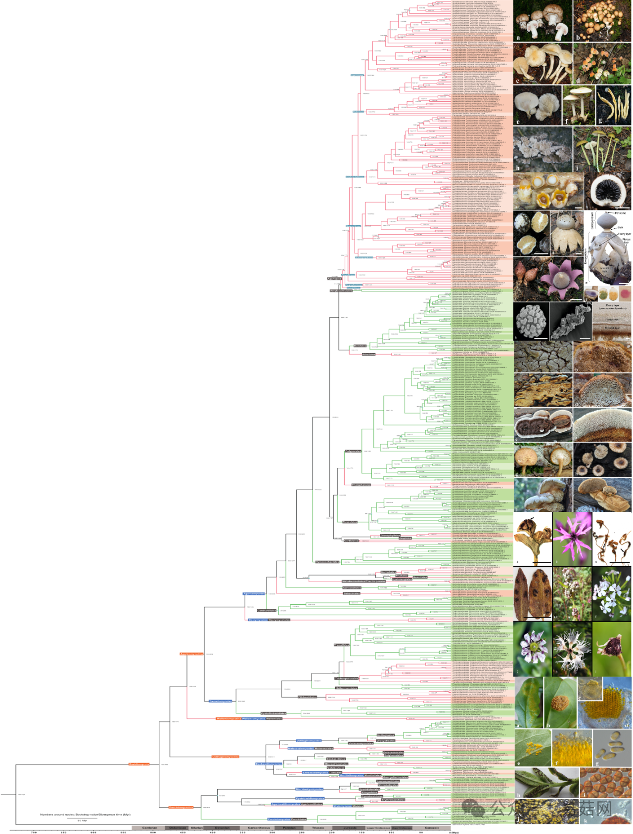 圖片關鍵詞 圖片關鍵詞
