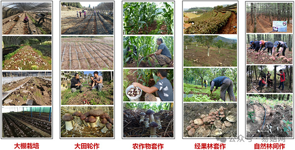 圖片關(guān)鍵詞 圖片關(guān)鍵詞