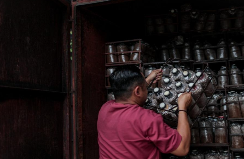 圖片關(guān)鍵詞