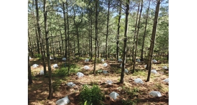 行業(yè)動(dòng)態(tài)